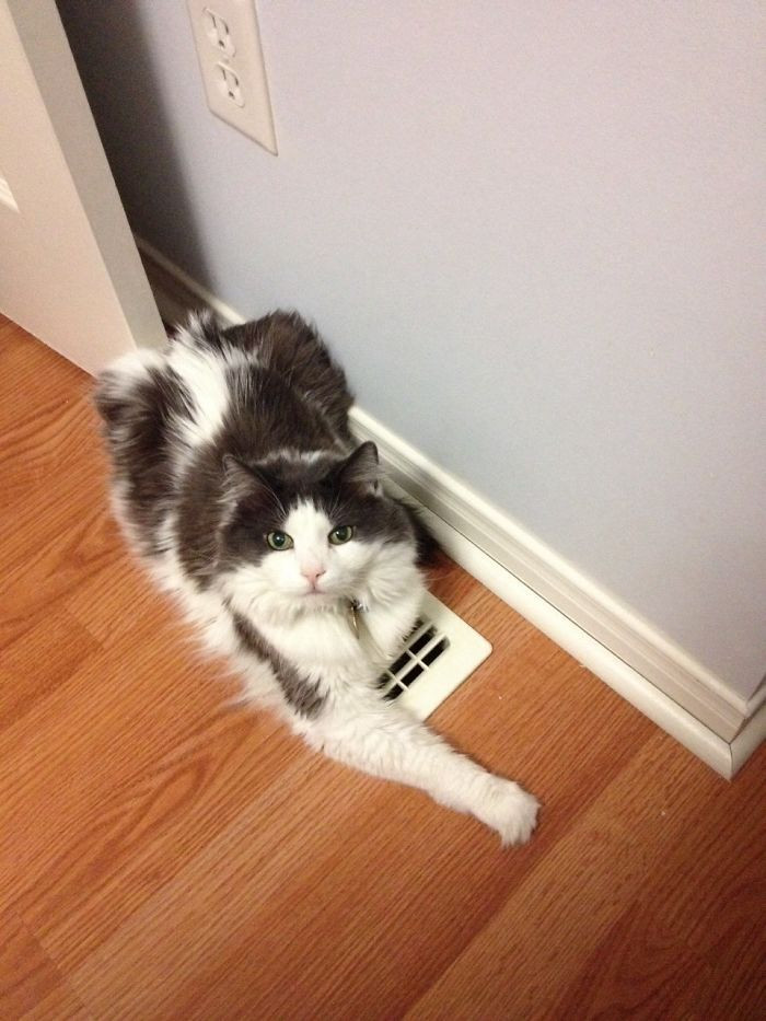 "My boyfriend was wondering why his room was so cold."