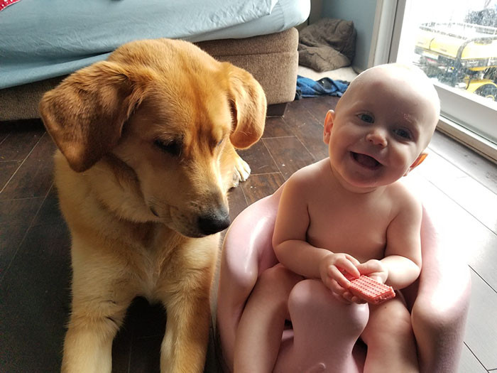 Regardless, Brick is apparently a very good boy.