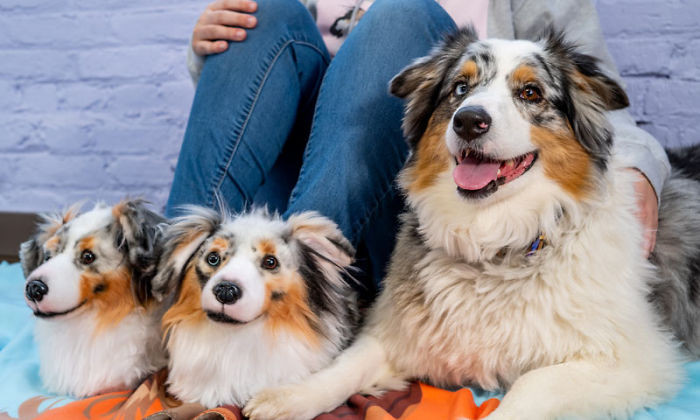Custom pet-themed slippers shaped like a dog, worn indoors for holiday fun