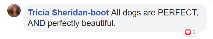 I Would Absolutely Agree!