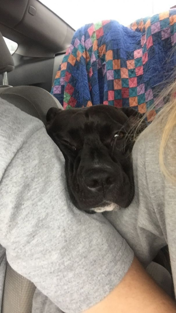 29. "TFW you're not allowed to sit up front."