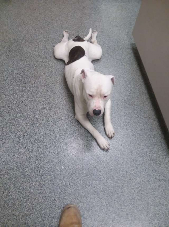 “I just felt like he was saying, ‘Help me.’”