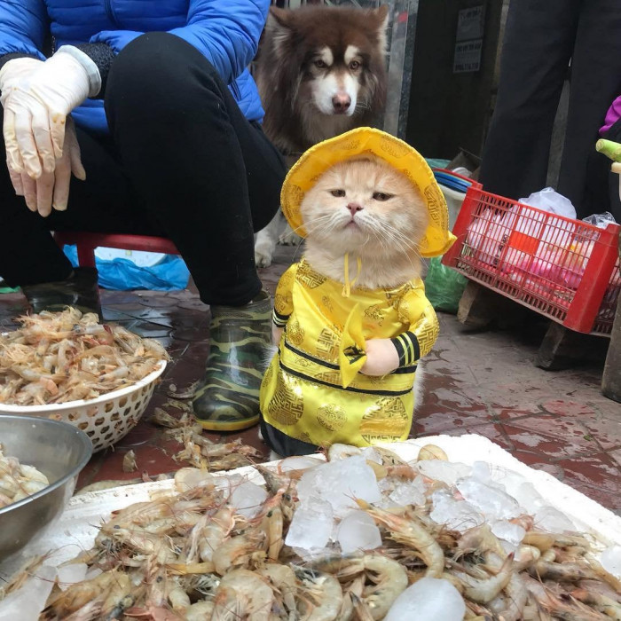 4. Fishing is serious business.