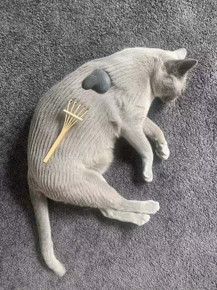 8. “Kitty has achieved nirvana.”