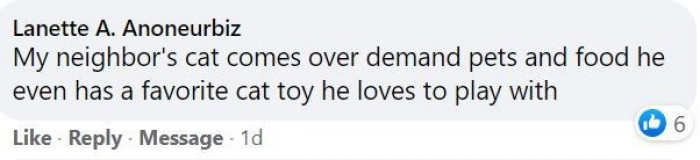8. Cats are super demanding, even with other people, but you can never say no to them.