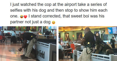 Woman Shares Photos Of A Police Officer Taking Selfies With His Service Dog, And He Replies By Posting The Selfies He Took