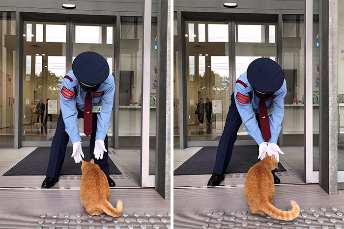 The security guard spends most of his day blocking cats from entering