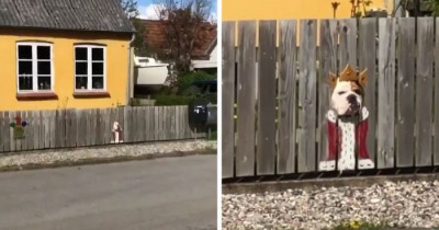 Bulldog Pair Love Looking Out Through The Fence, So Their Humans Painted Funny Costumes for Them
