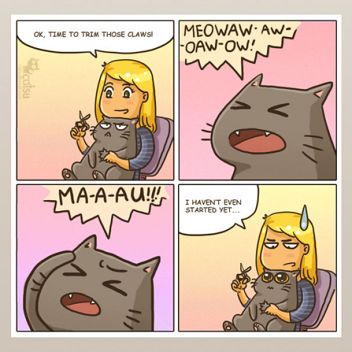 Seriously Relatable Cat Comics You're Definitely Going To Love