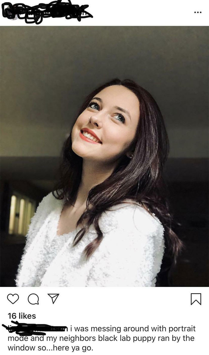 26. Was the puppy flying?