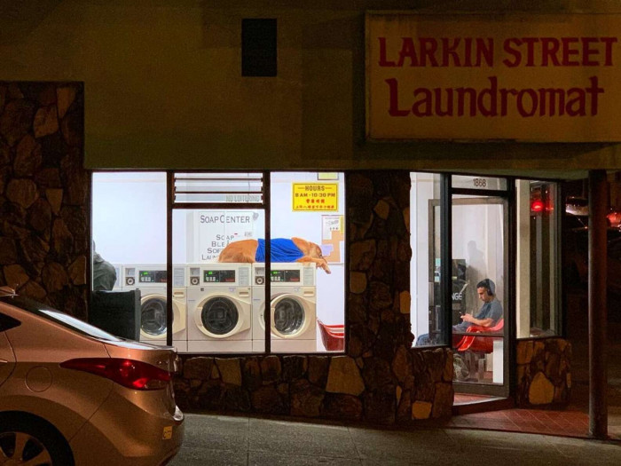 Cody can be found taking a nap on top of the washing machines around closing time each night.