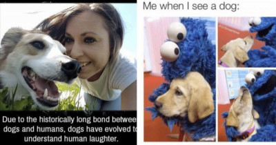 10+ Times Tumblr Users Blessed Us With The Most Hilarious Dog Posts