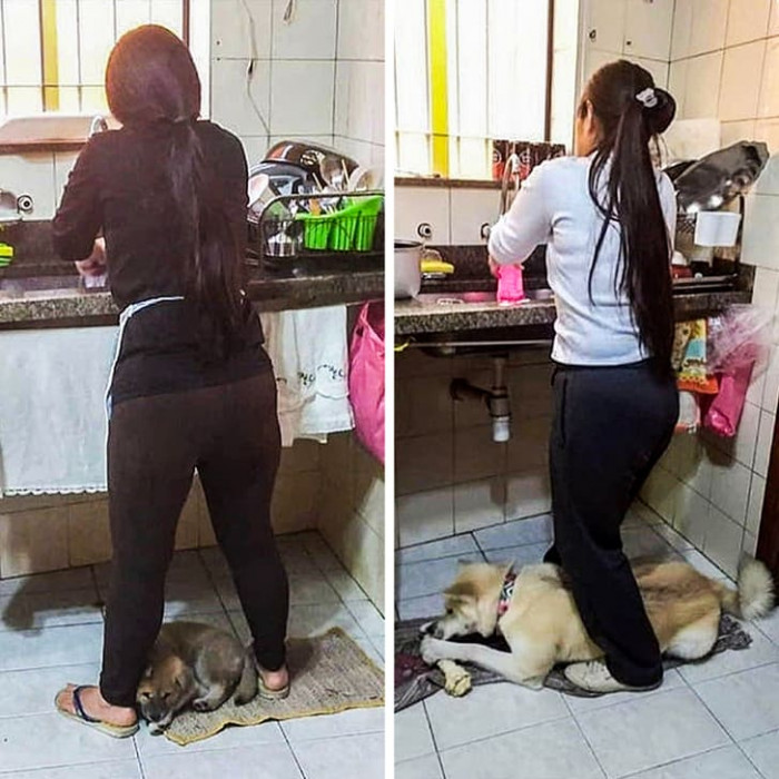 16. Well, at least my dog isn't alone in this nonsense.