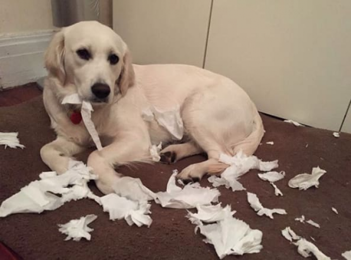 "I just laid down here; I don't know where all this came from."