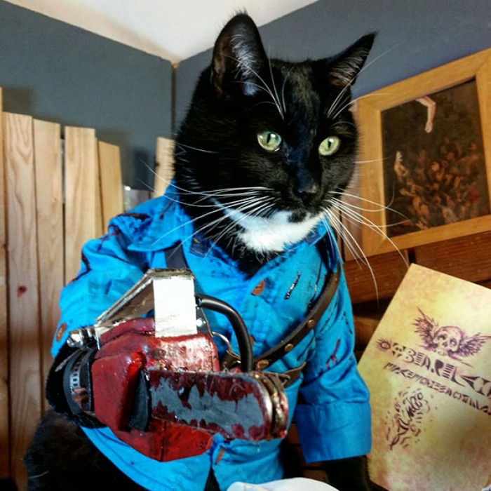 "Ashley 'Ash' Williams From Evil Dead"