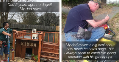 These People Swore They Didn't Want Pets Until Finally, They Got One That Changed Their Lives