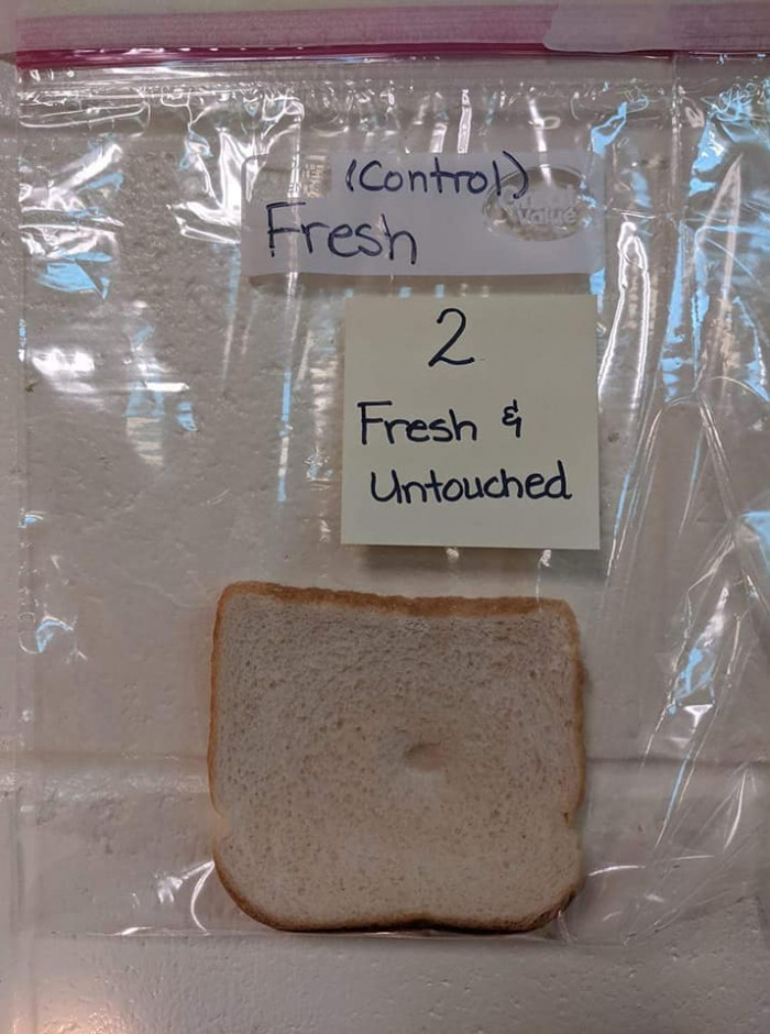 Fresh untouched by humans, bread: