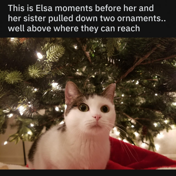 16. You can see the mischief in her eyes.