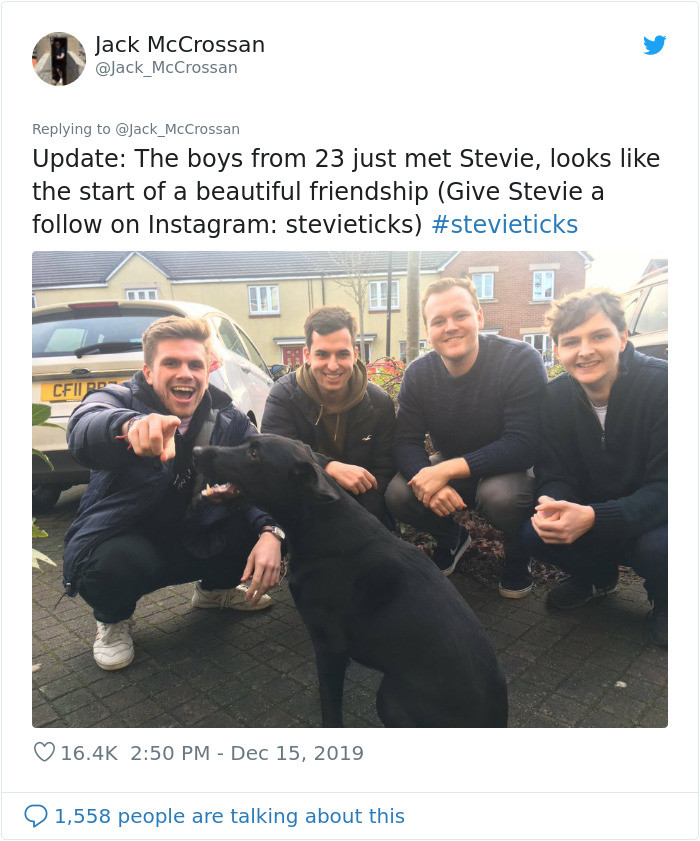 Stevie meets the four guys for the first time