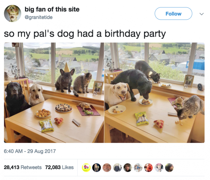 15. I WANT TO BE INVITED TO THIS