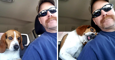 Beagle Can’t Contain His Gratitude After Man Rescues Him From A Deadly Shelter