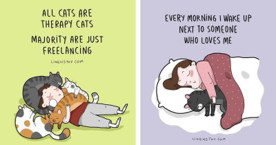 Brilliant Artist Illustrates the Hilarious Moments in Every Cat Owner's Life