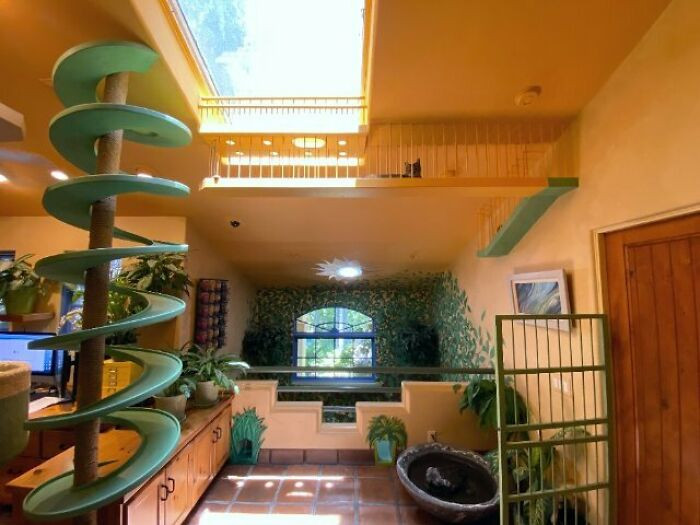 The house even has spiral staircases that lead to floors accessible only to the cats.