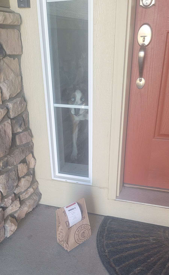 1. Others want a different bonus. They took a photo of the delivery with a dog.
