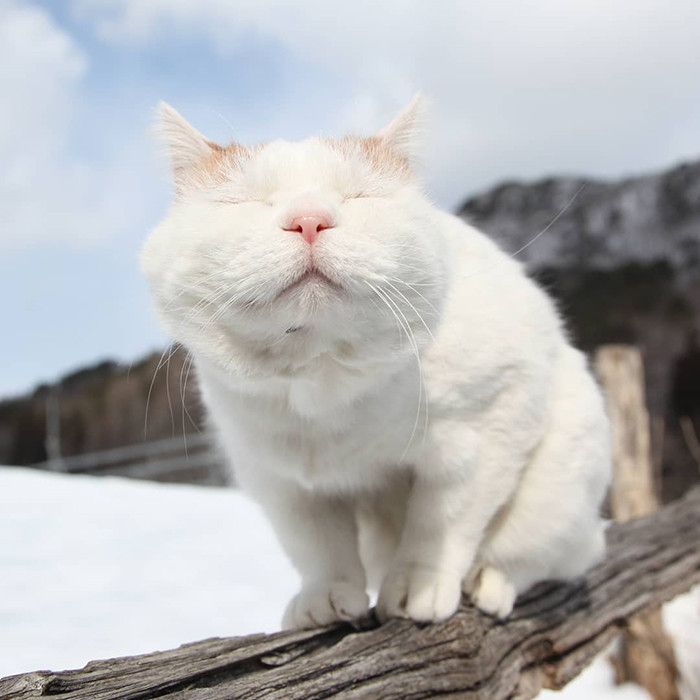 14. Enjoying the sun on a cold winter day.