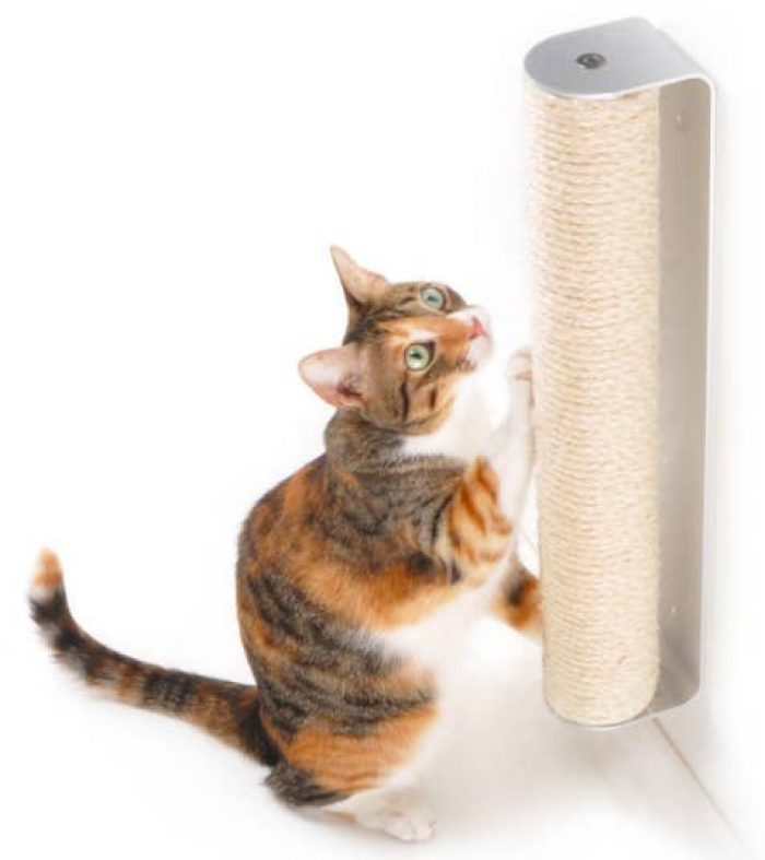 18. Mounted Cat Scratcher