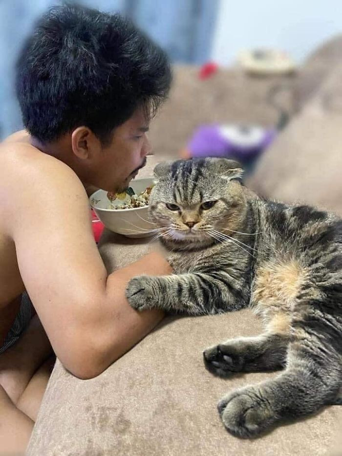 #21 Don't worry, human; I shall protect you while you enjoy your dinner.