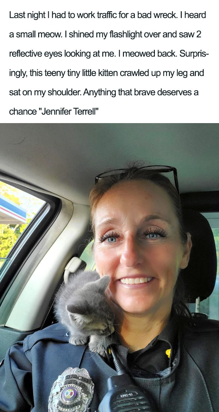 18. "I meowed back."