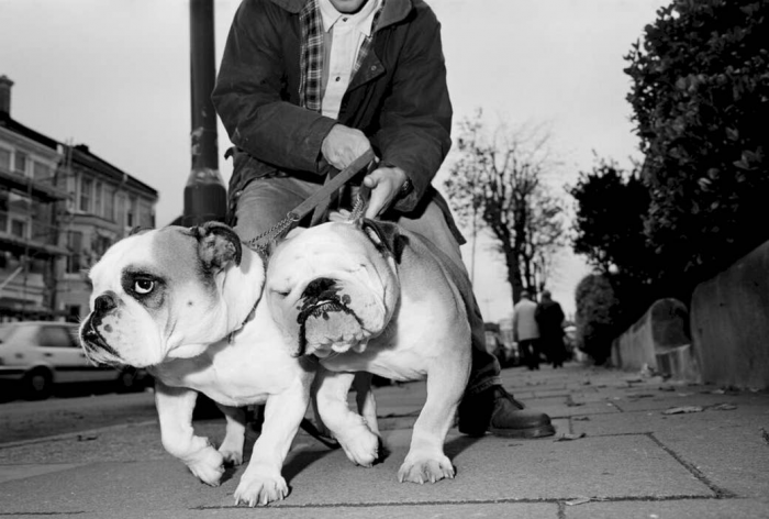 11. East Sussex, England, 1991