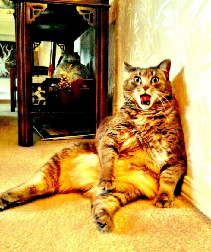 4. I can't eat anymore.
