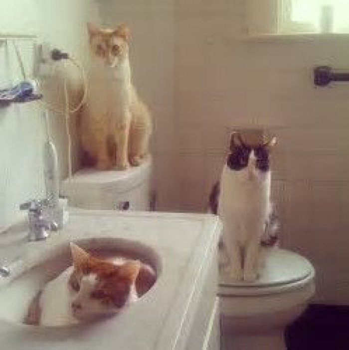 7. There's a good chance you're about to shower.