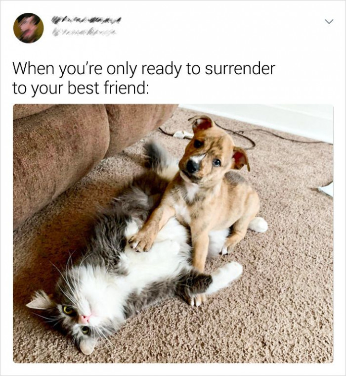 4. When it comes to her little best friend, she's willing to give up.