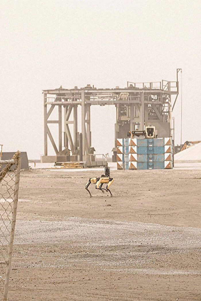 8. Robot Dogs In Spacex