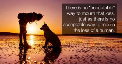 Study Shows That Losing A Dog Can Be As Difficult As Losing A Family Member