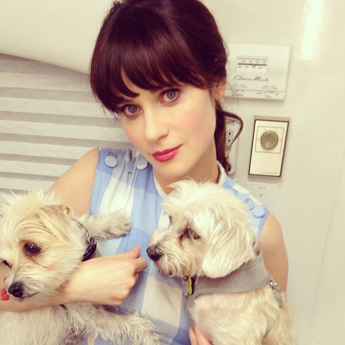 1. Zooey Deschanel & Dot And Zelda