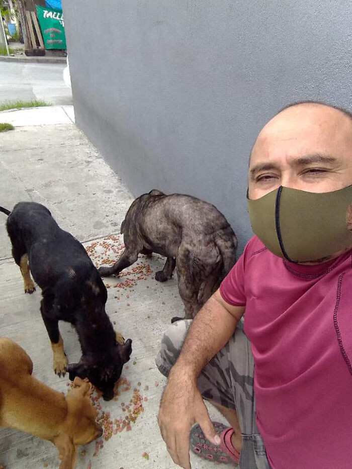 Jorge has a huge heart and helps all kinds of animals.