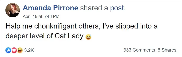 This person made a post in the Facebook group "THIS CAT IS C H O N K Y."