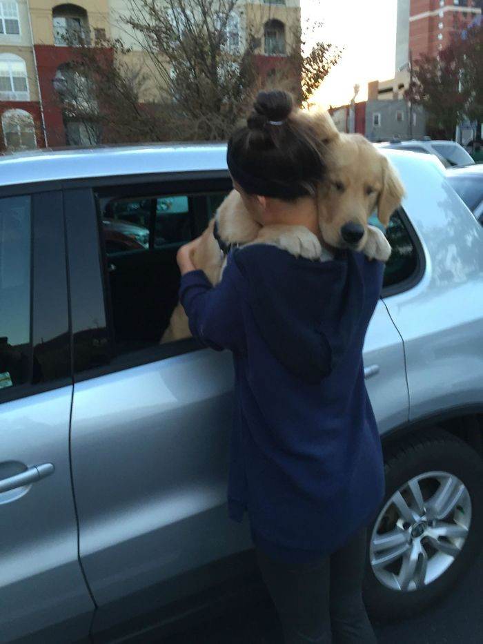 "While I Was Saying Goodbye, My Dog Did This."