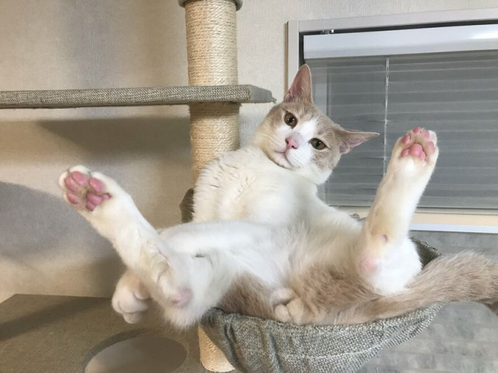 Just hanging around the house.