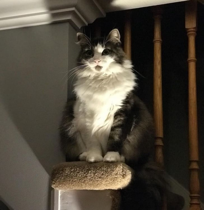 13. When you come home late, you get the glare.