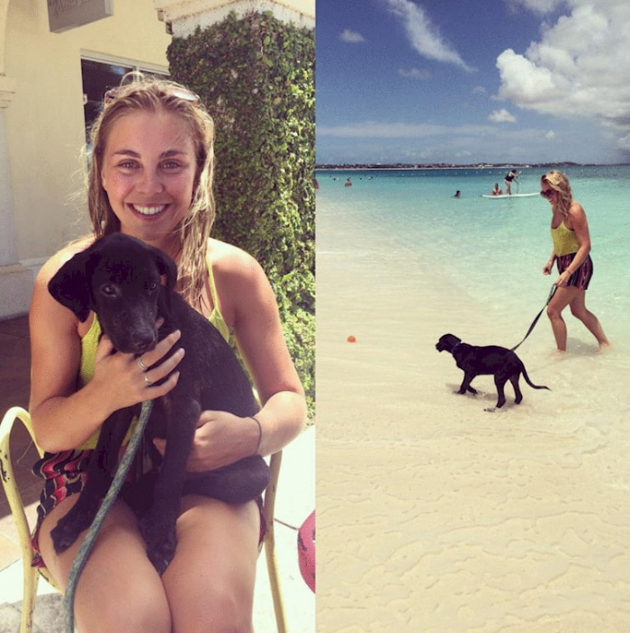 Potcakes are the type of dog found in Caribbean islands like Providenciales or The Bahamas.