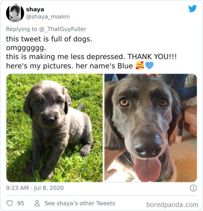 HEY BEAUTIFUL BLUE!