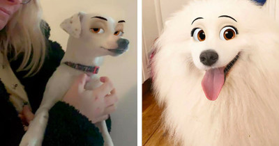Disney Dogs Become A Reality Thanks To This Pawesome Snapchat Filter