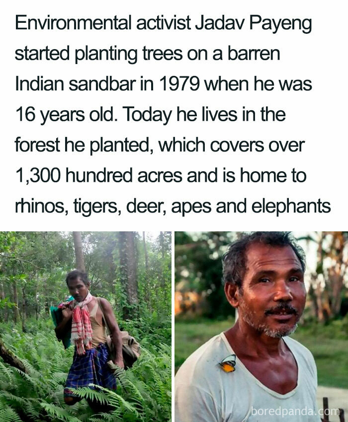 50. The Man Who Planted An Entire Forest!