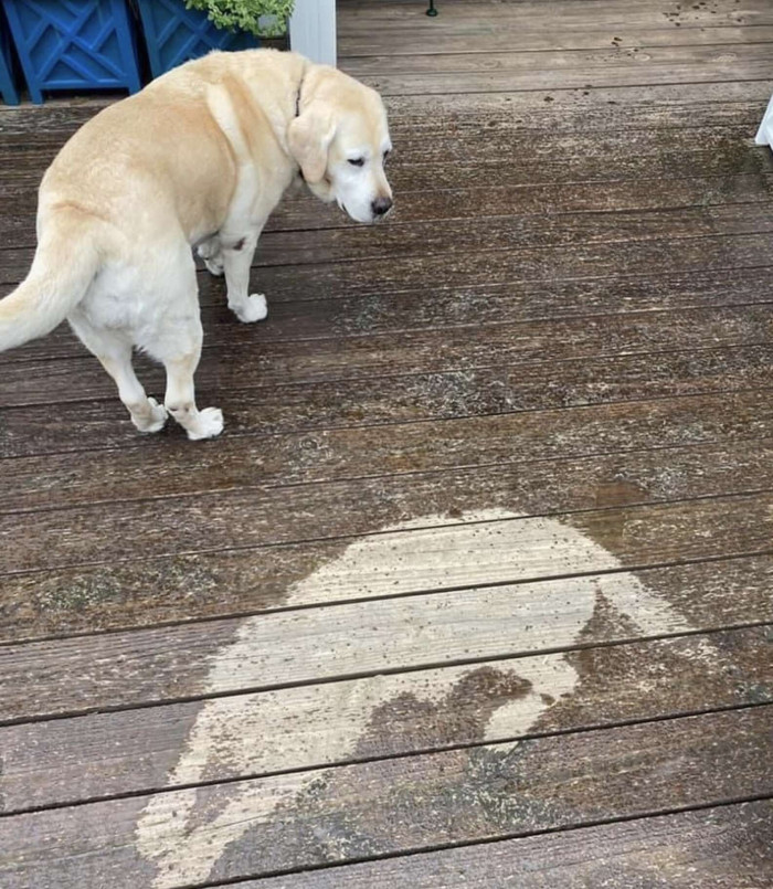 Seeing everyone laughing, Patsy seemed a little confused because she didn't realize what she had created in her ignorance.