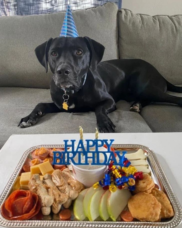 16. What better way to celebrate your dog's birthday than with a barkuterie board?